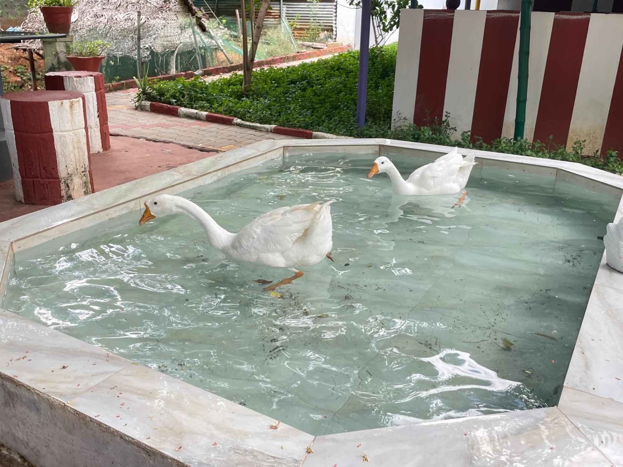 Chola Heritage Resort Karaikkudi Εξωτερικό φωτογραφία